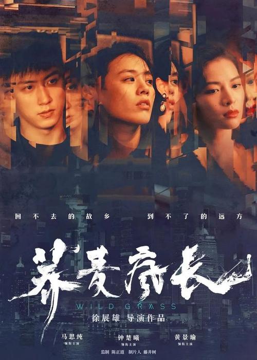 做假东伊利诺伊大学学位证